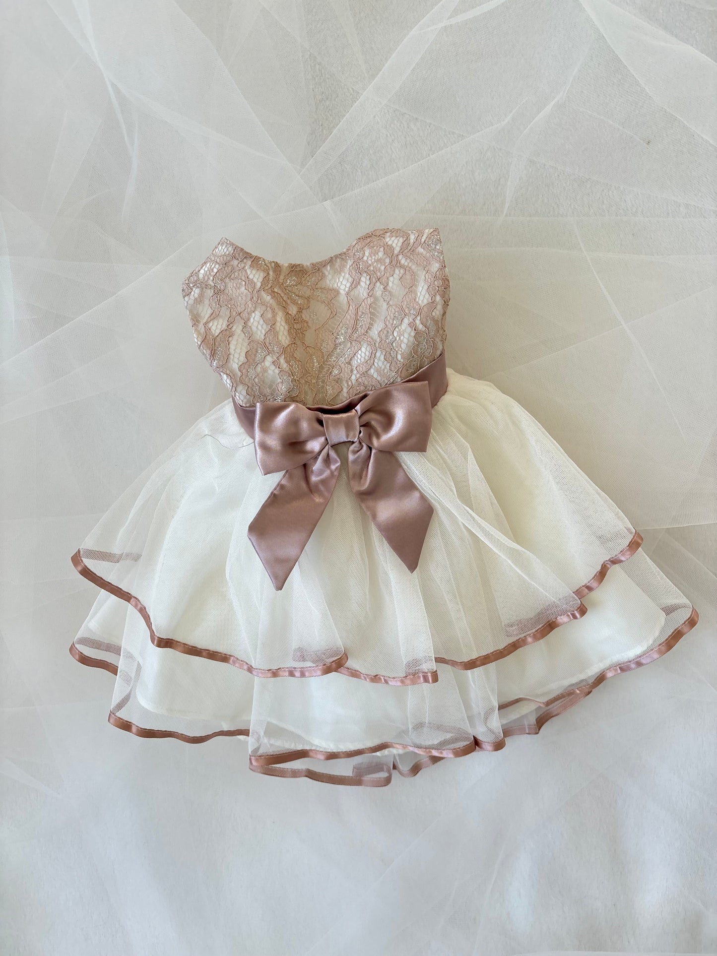 Vintage Babydoll Tulle Ruffle Dress (6mo)