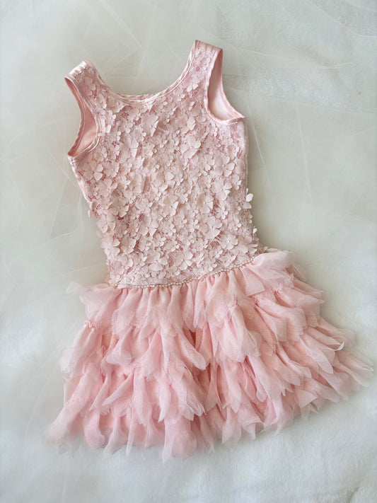 Vintage Ballerina Babydoll Mesh Pastel Pink Dress (7)